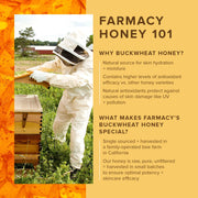 Infographic about Honey Vanilla Lip Smoothie